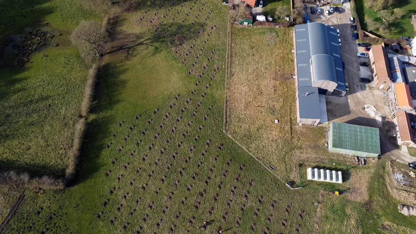 We have an orchard!