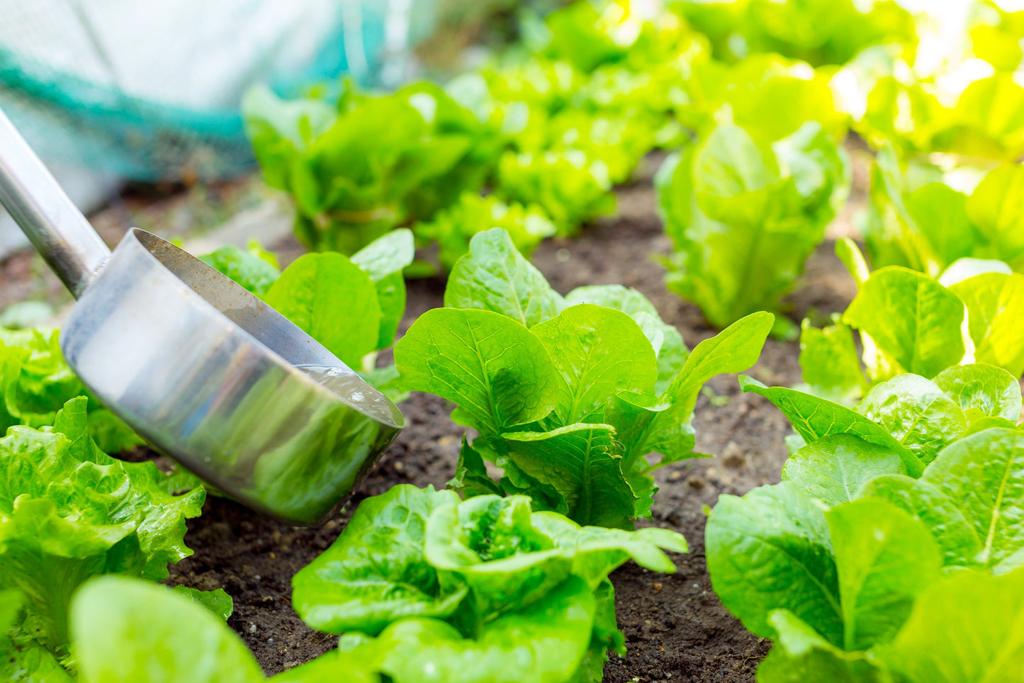 Waste not want not: creating value from our wastewater